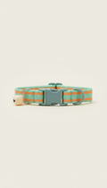 Bright Cat Collar With Quick-Release Buckle
